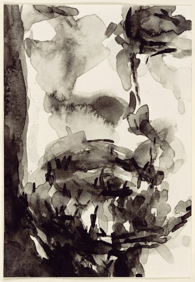 Gesicht von Stephen Finer